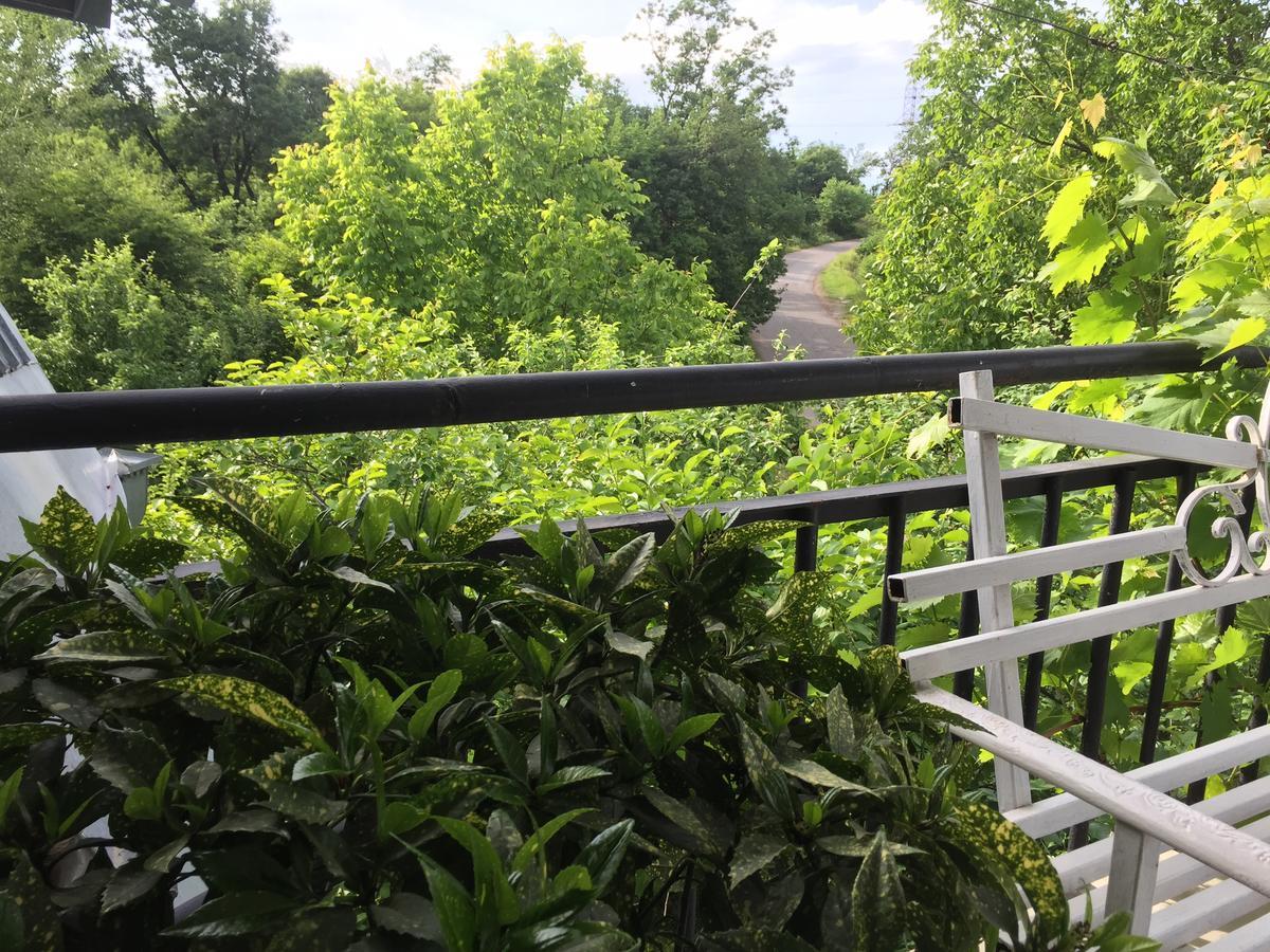 Nino'S Veranda Apartment 텔라비 외부 사진